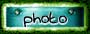 Image Gallery